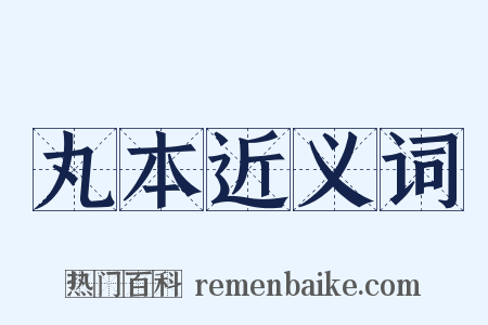 丸本近义词是什么意思的图片